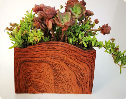 Plant Pot, succulent pot, Succulent desk decor