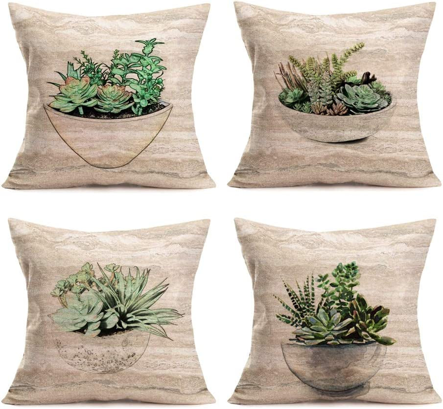 succulent pillows