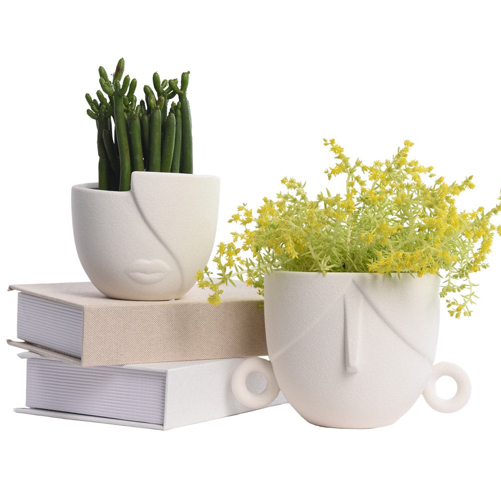 Two Ceramic White Succulent Pots Set