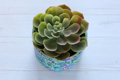 Handmade succulent pots plant