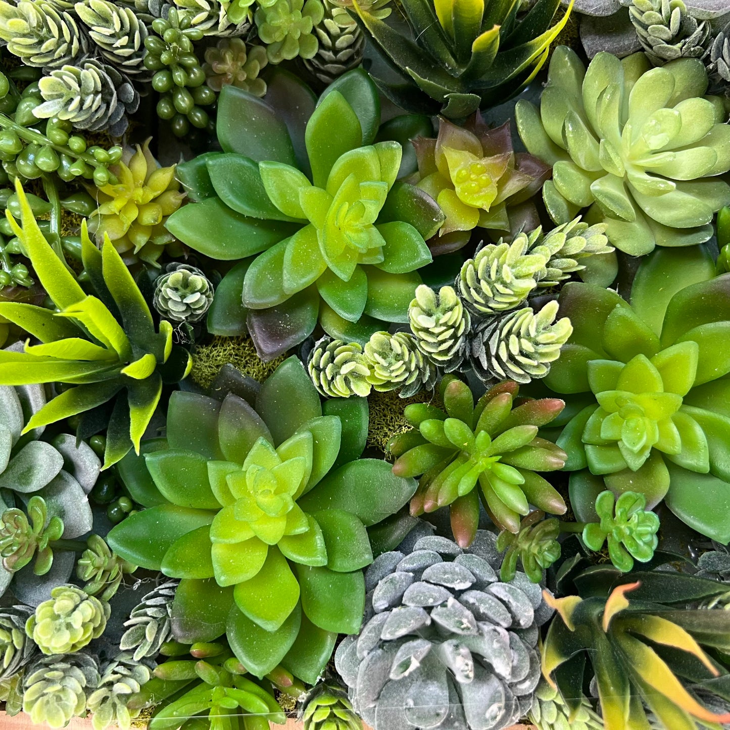 Faux Succulent Wall Art