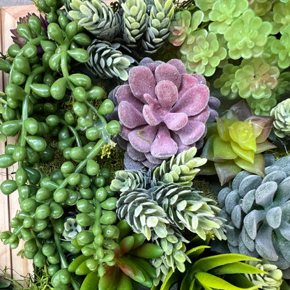 Faux Succulent Wall Art