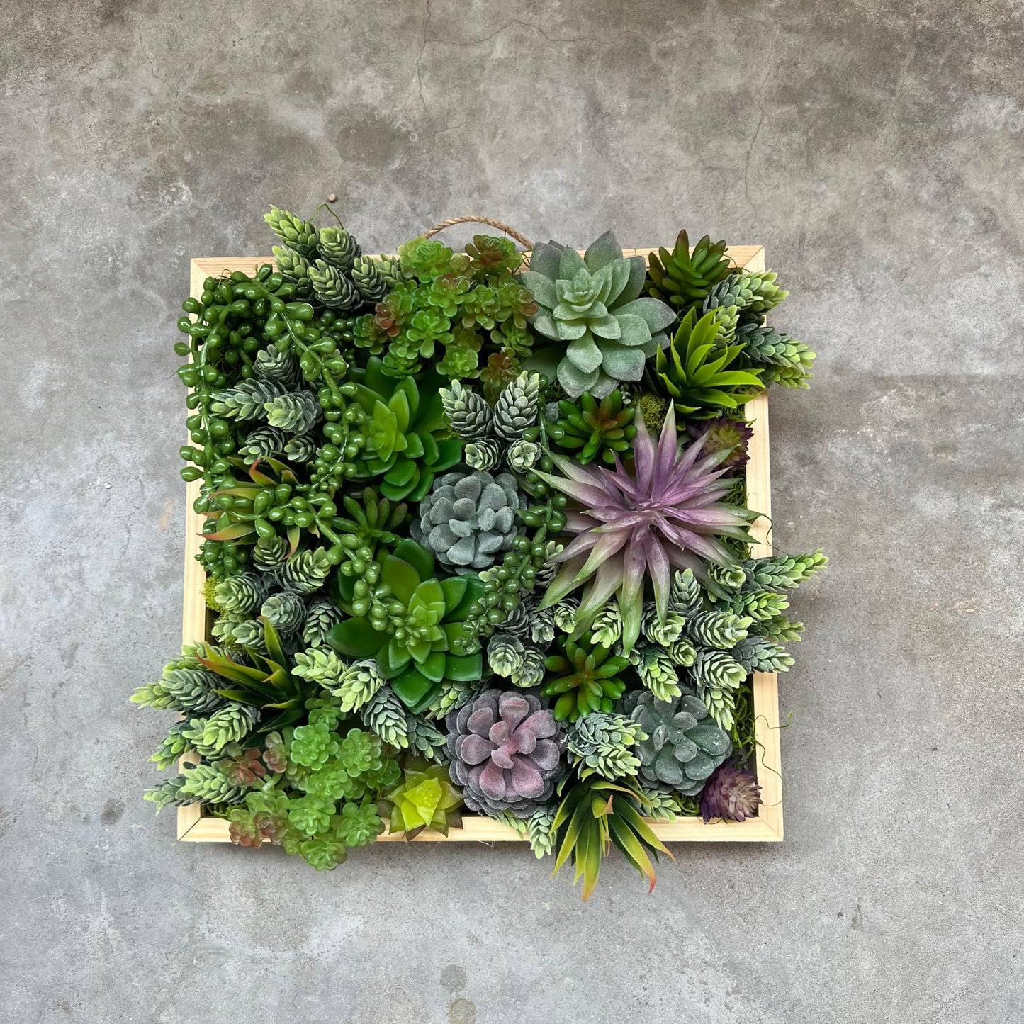 Faux Succulent Wall Art